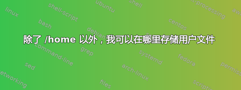 除了 /home 以外，我可以在哪里存储用户文件