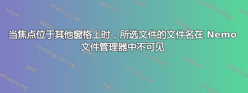 当焦点位于其他窗格上时，所选文件的文件名在 Nemo 文件管理器中不可见