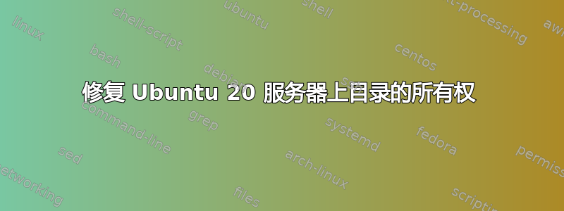 修复 Ubuntu 20 服务器上目录的所有权