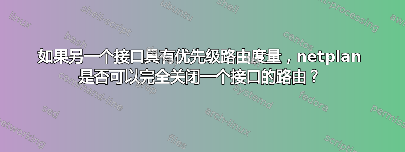 如果另一个接口具有优先级路由度量，netplan 是否可以完全关闭一个接口的路由？