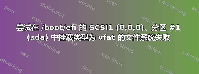 尝试在 /boot/efi 的 SCSI1 (0,0,0)、分区 #1 (sda) 中挂载类型为 vfat 的文件系统失败