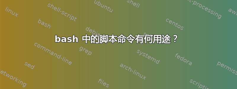 bash 中的脚本命令有何用途？