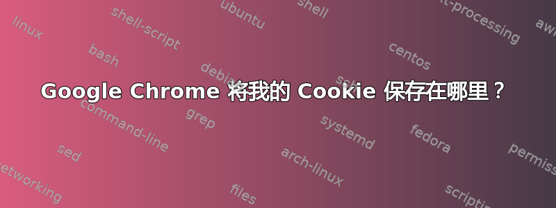 Google Chrome 将我的 Cookie 保存在哪里？