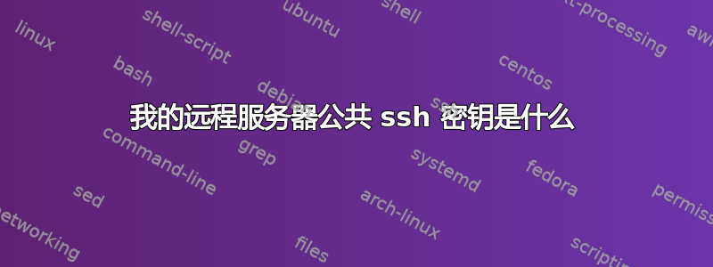 我的远程服务器公共 ssh 密钥是什么