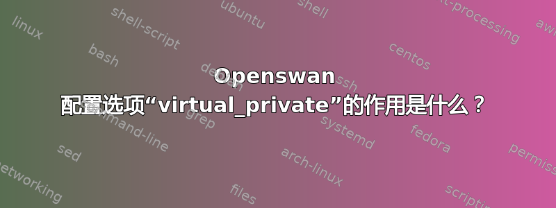 Openswan 配置选项“virtual_private”的作用是什么？