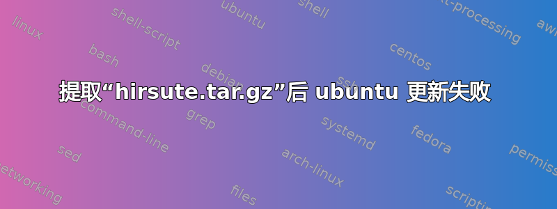 提取“hirsute.tar.gz”后 ubuntu 更新失败