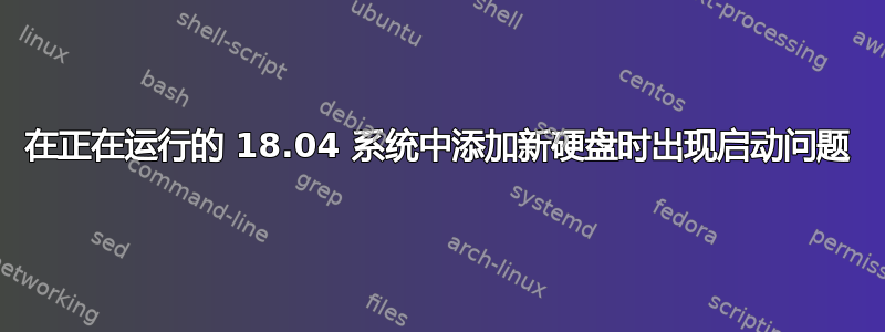 在正在运行的 18.04 系统中添加新硬盘时出现启动问题