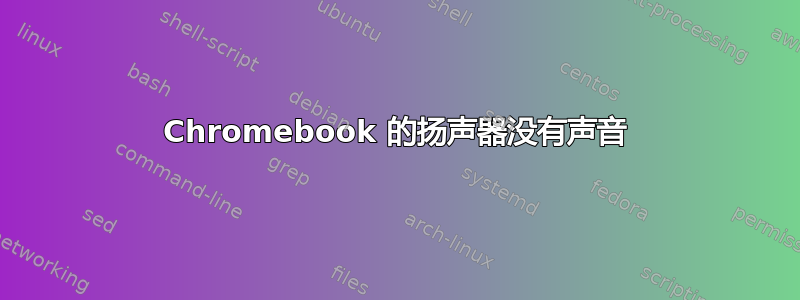 Chromebook 的扬声器没有声音