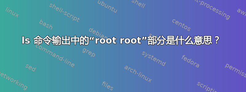 ls 命令输出中的“root root”部分是什么意思？