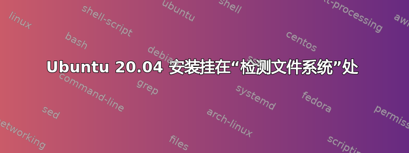 Ubuntu 20.04 安装挂在“检测文件系统”处