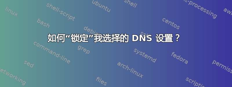 如何“锁定”我选择的 DNS 设置？