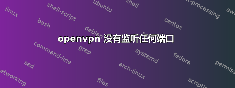 openvpn 没有监听任何端口