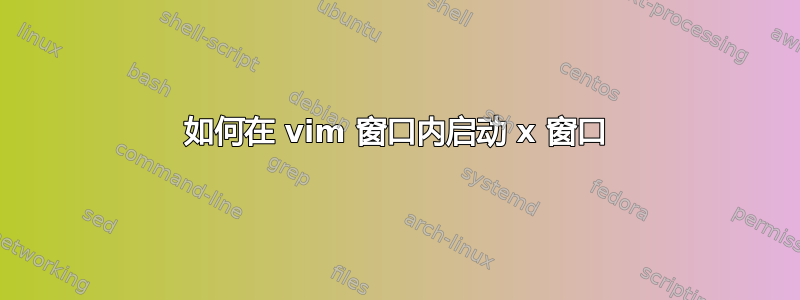 如何在 vim 窗口内启动 x 窗口