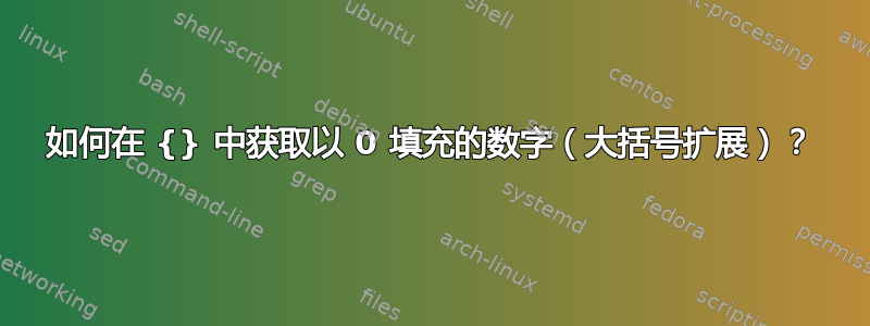 如何在 {} 中获取以 0 填充的数字（大括号扩展）？