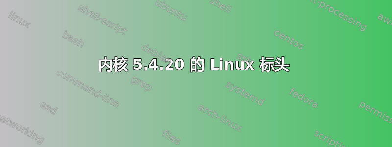 内核 5.4.20 的 Linux 标头