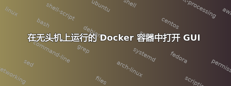 在无头机上运行的 Docker 容器中打开 GUI