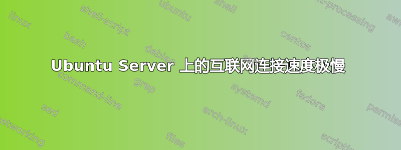 Ubuntu Server 上的互联网连接速度极慢