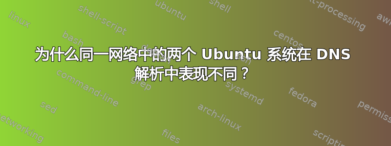 为什么同一网络中的两个 Ubuntu 系统在 DNS 解析中表现不同？