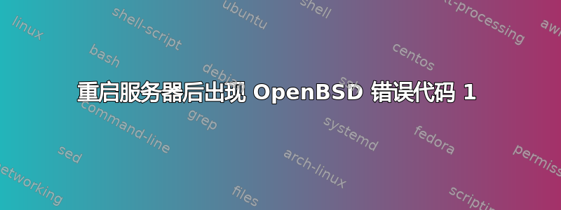 重启服务器后出现 OpenBSD 错误代码 1