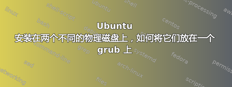 Ubuntu 安装在两个不同的物理磁盘上，如何将它们放在一个 grub 上