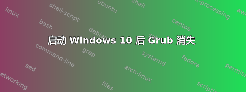 启动 Windows 10 后 Grub 消失