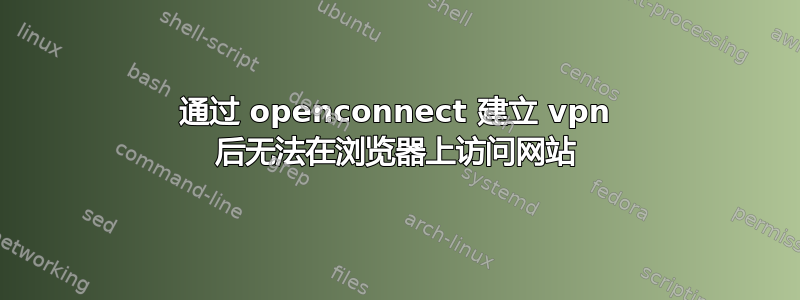 通过 openconnect 建立 vpn 后无法在浏览器上访问网站