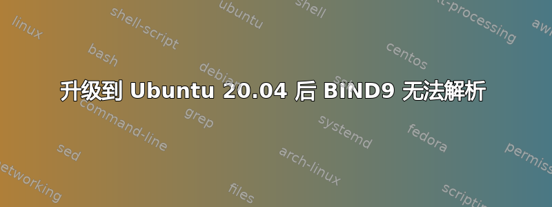 升级到 Ubuntu 20.04 后 BIND9 无法解析