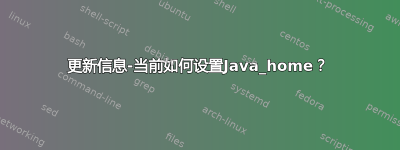 更新信息-当前如何设置Java_home？