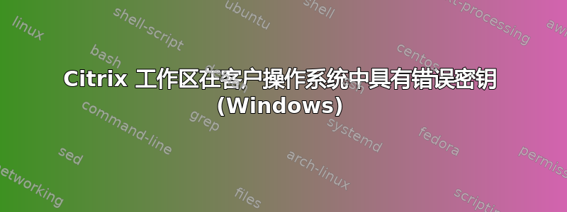 Citrix 工作区在客户操作系统中具有错误密钥 (Windows)