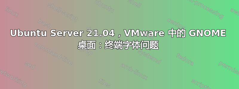 Ubuntu Server 21.04，VMware 中的 GNOME 桌面：终端字体问题