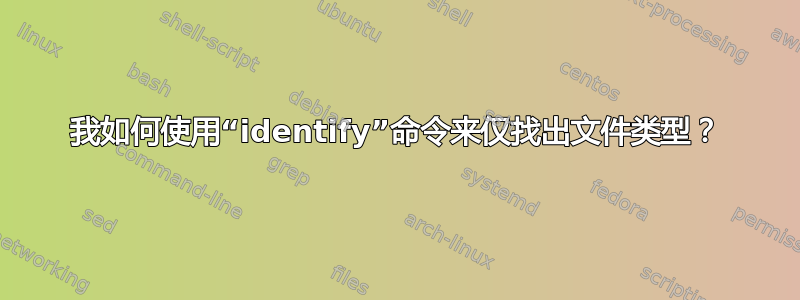 我如何使用“identify”命令来仅找出文件类型？