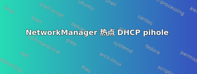 NetworkManager 热点 DHCP pihole