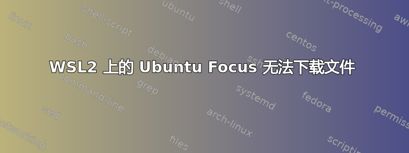 WSL2 上的 Ubuntu Focus 无法下载文件