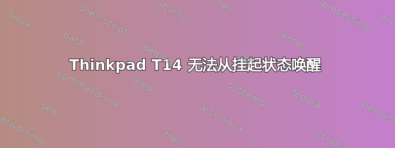 Thinkpad T14 无法从挂起状态唤醒