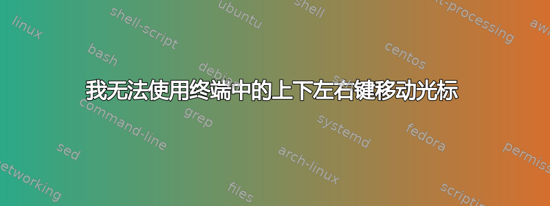 我无法使用终端中的上下左右键移动光标