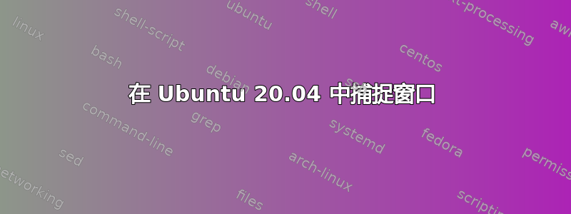 在 Ubuntu 20.04 中捕捉窗口