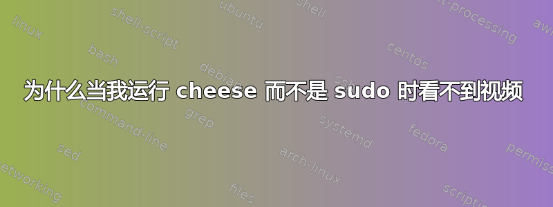 为什么当我运行 cheese 而不是 sudo 时看不到视频