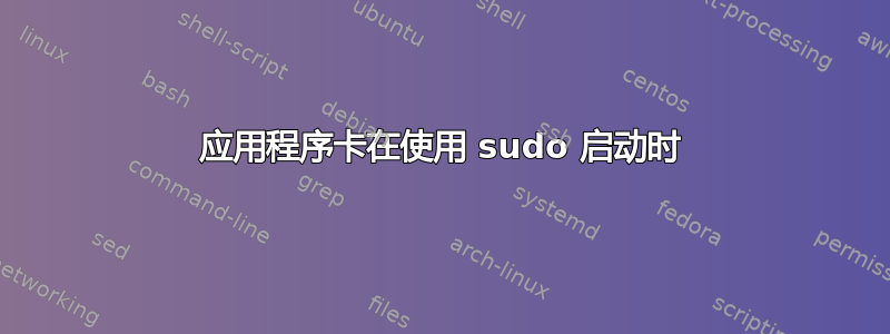 应用程序卡在使用 sudo 启动时