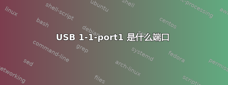 USB 1-1-port1 是什么端口