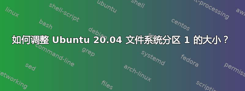 如何调整 Ubuntu 20.04 文件系统分区 1 的大小？