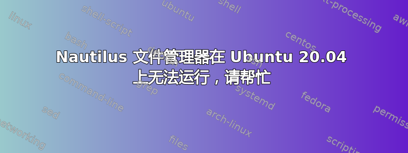 Nautilus 文件管理器在 Ubuntu 20.04 上无法运行，请帮忙