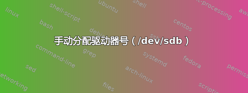 手动分配驱动器号（/dev/sdb）