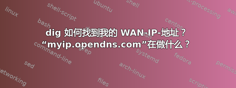 dig 如何找到我的 WAN-IP-地址？ “myip.opendns.com”在做什么？