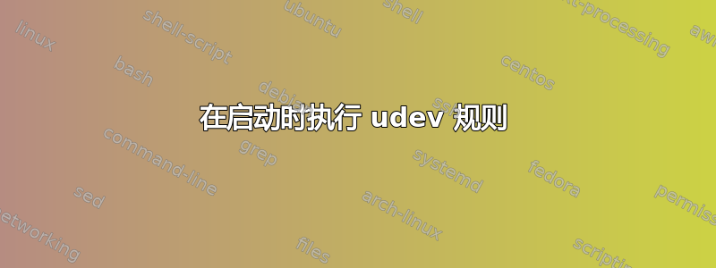 在启动时执行 udev 规则