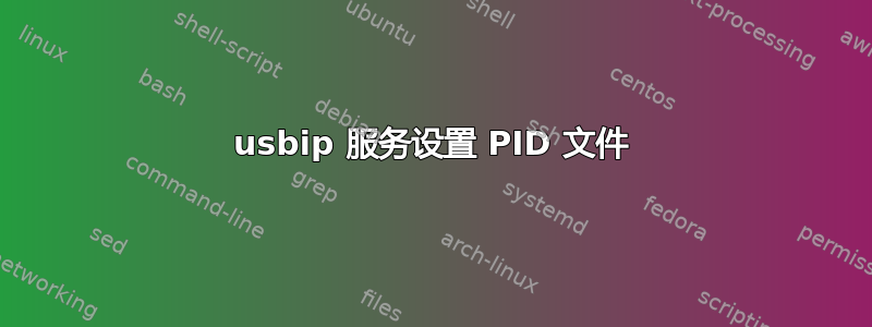 usbip 服务设置 PID 文件