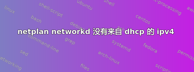 netplan networkd 没有来自 dhcp 的 ipv4