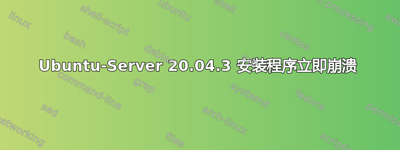 Ubuntu-Server 20.04.3 安装程序立即崩溃