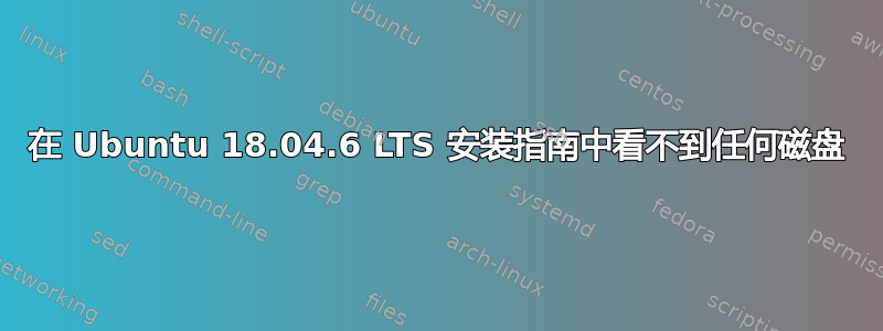 在 Ubuntu 18.04.6 LTS 安装指南中看不到任何磁盘