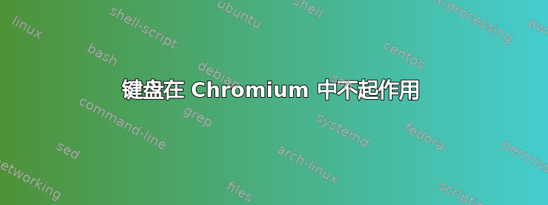 键盘在 Chromium 中不起作用