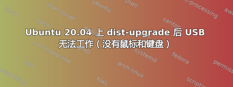 Ubuntu 20.04 上 dist-upgrade 后 USB 无法工作（没有鼠标和键盘）